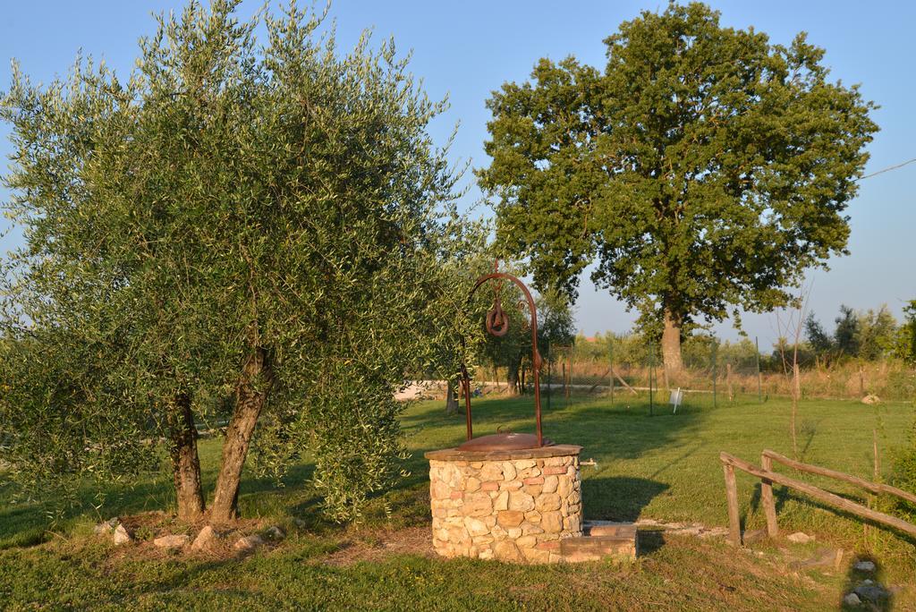 Agriturismo Podere Dell' Olmo Amelia Exterior foto
